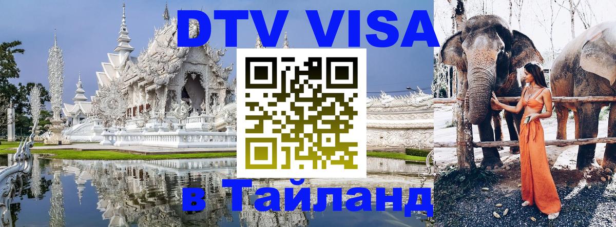 Сколько стоит DTV виза — актуальные цены, оформление даже без документов - 05.10.2025 